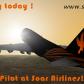 More information about "Soar Virtual Airline's Repaint of the XP10 Default 747"