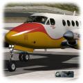 More information about "Carenado Beechcraft B200 - EC-LJN Livery"