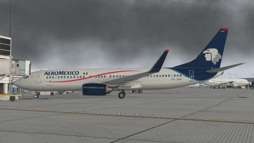 More information about "Aeromexico (Current) XP11 default 737-800"