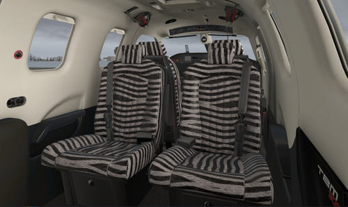 More information about "Zebra seats for your TBM-900"