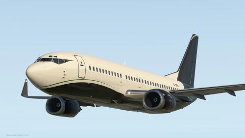 More information about "VIP TAG Aviation (UK) Livery for IXEG 737 Classic"