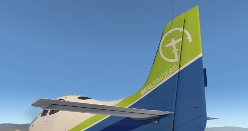 More information about "RealSimGear House Livery - Take Command! SR22 Series"