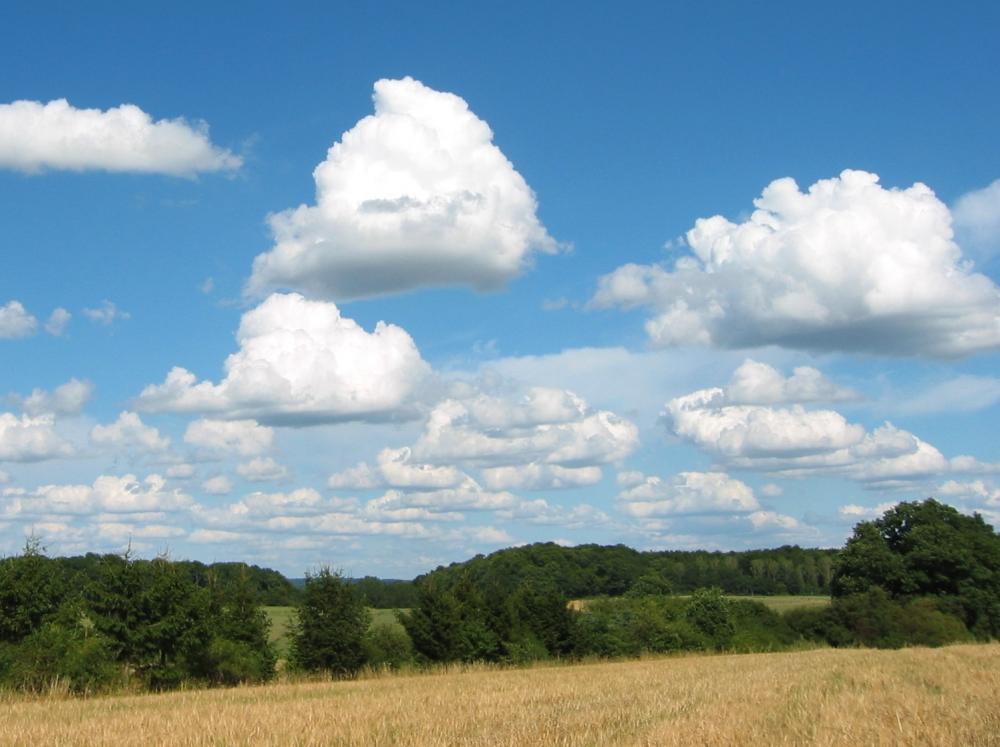 cumulus.jpg