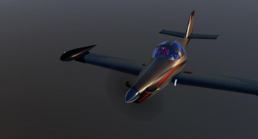 X-Plane 2019-03-19 16-56-32.jpeg