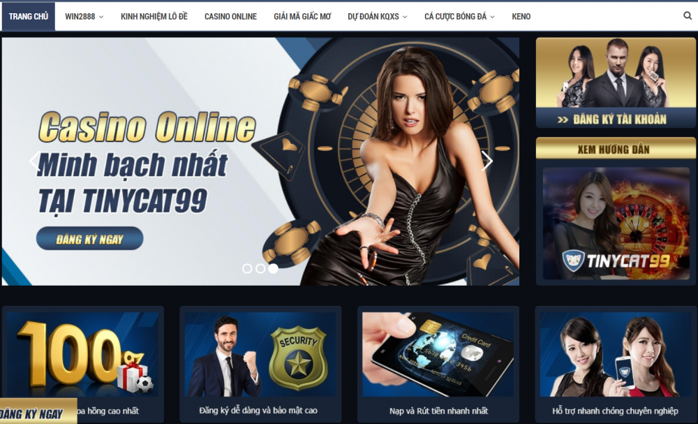 casino-online-tinycat99.thumb.png.1da3dffb298dd10f0016c9b64e7c42e3.png