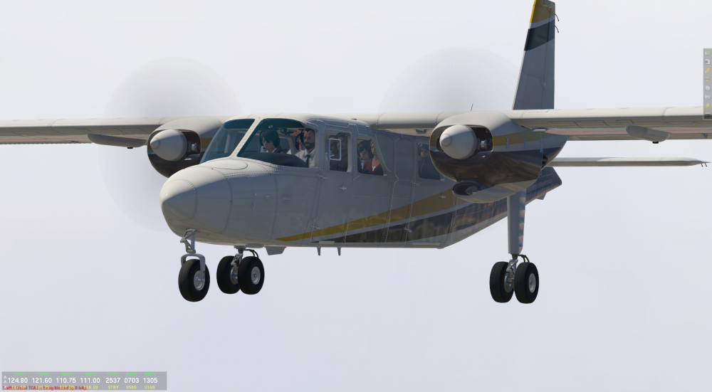 BN-2B Islander - 2020-04-25 09.18.12.png