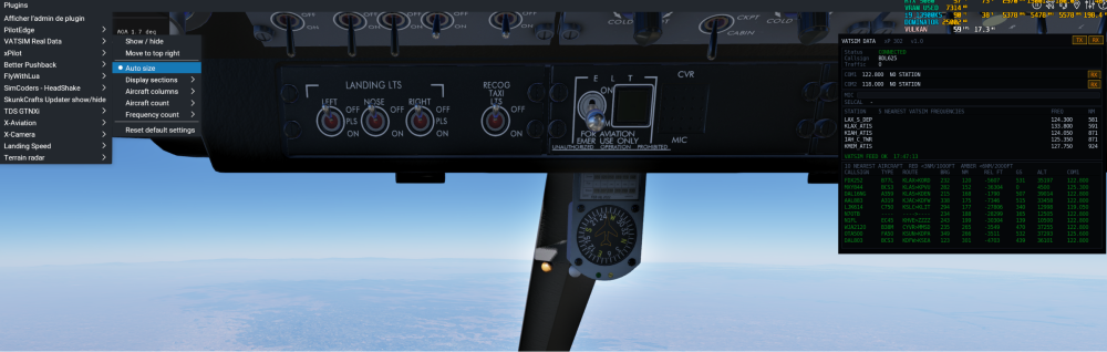 vatsim2.png